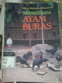 Image of Memelihara Ayam Buras