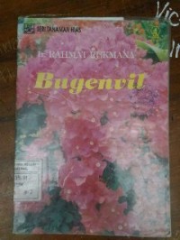 Image of Bugenvil